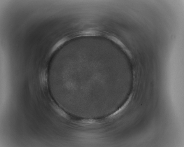 X0000113761450200909301100