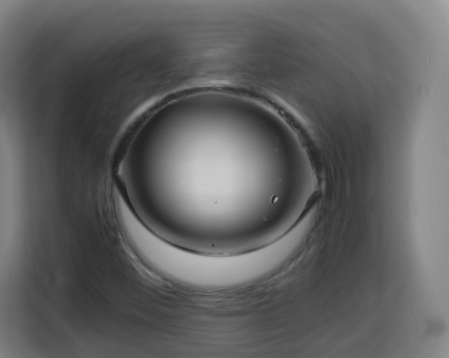 X0000113761452200909301100
