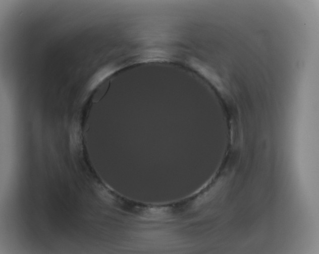 X0000113761453200909301100