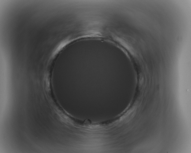 X0000113761455200909301059