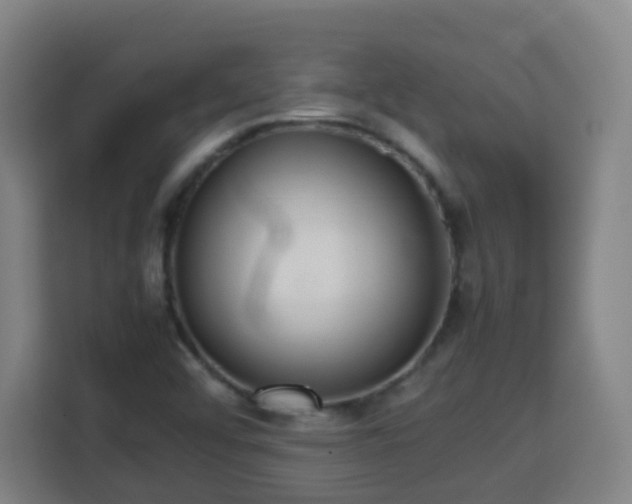 X0000113761456200909301059