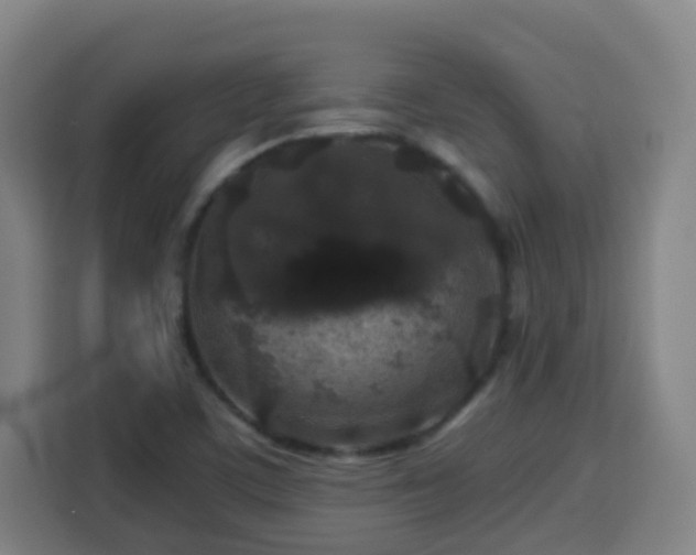 X0000113761459200909301059