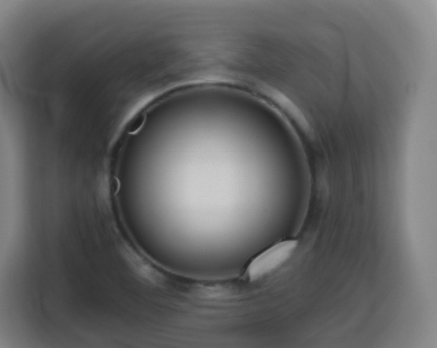 X0000113761460200909301059