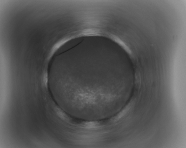 X0000113761461200909301059