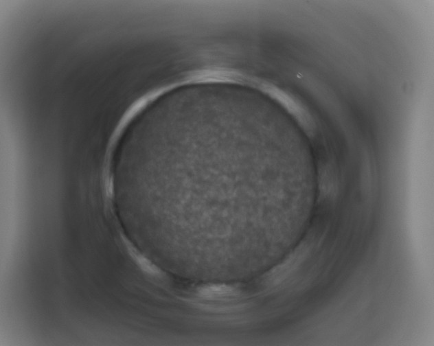 X0000113761462200909301059