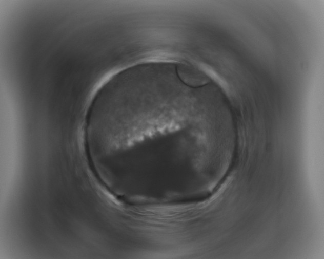 X0000113761463200909301059