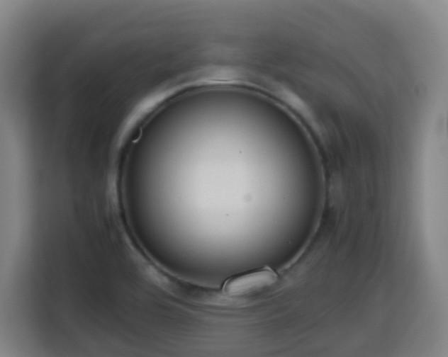 X0000113761464200909301059