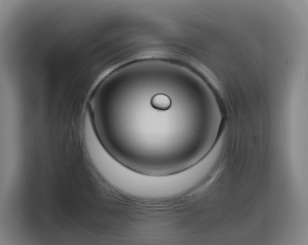 X0000113761465200909301059