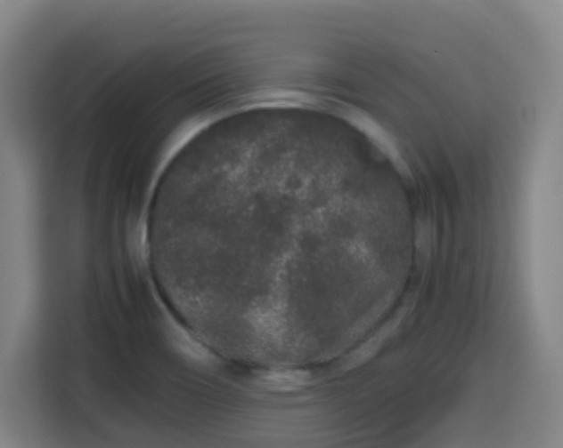 X0000113761466200909301059
