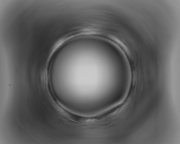 X0000113761467200909301059