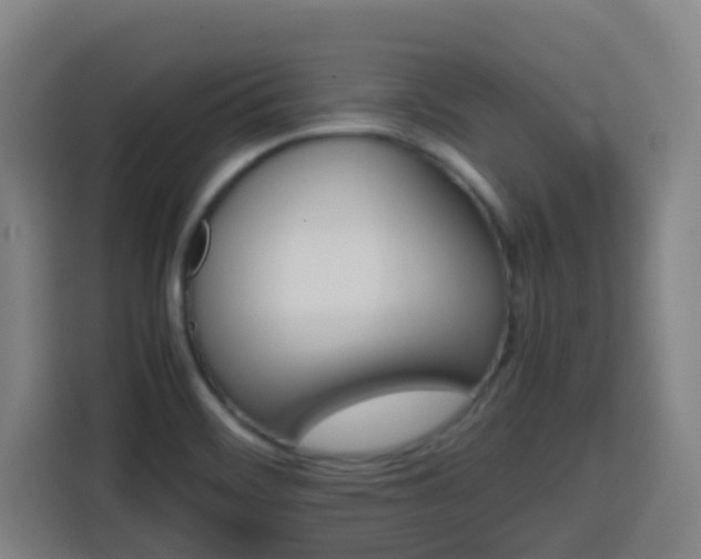 X0000113761468200909301059