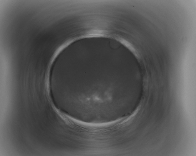 X0000113761469200909301059