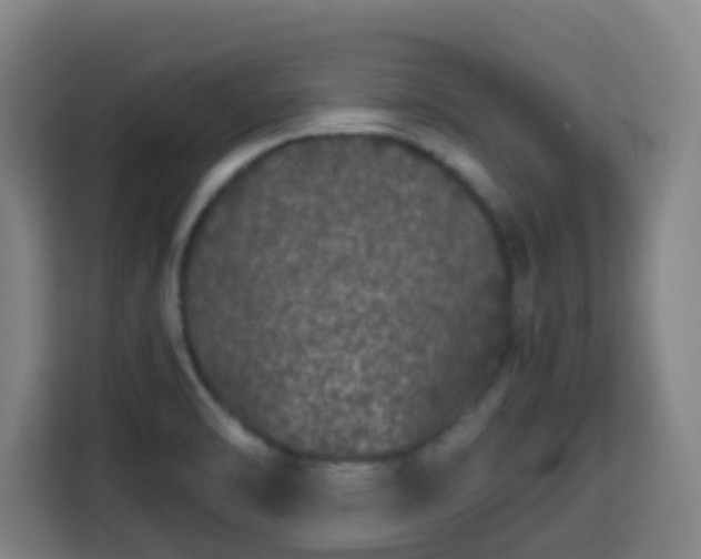 X0000113761470200909301059
