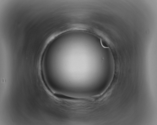X0000113761471200909301059