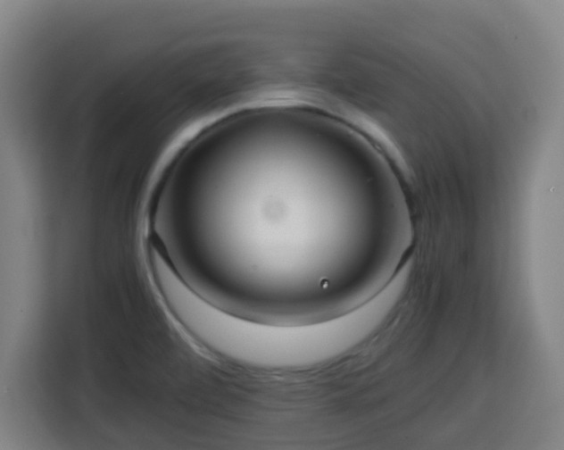 X0000113761472200909301059