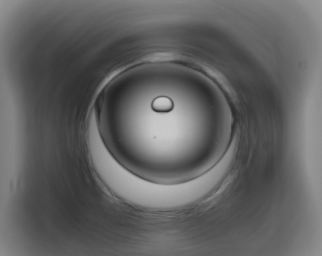 X0000113761473200909301059
