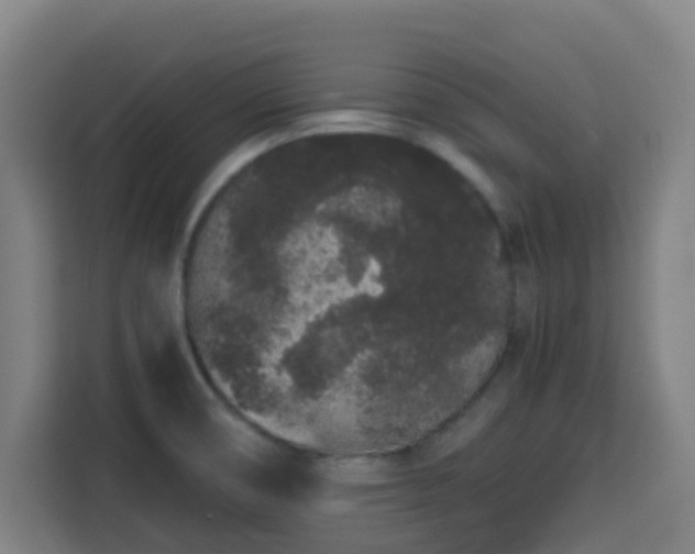 X0000113761474200909301059