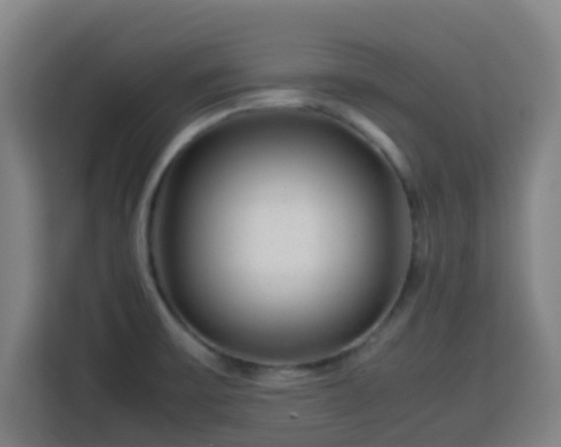 X0000113761475200909301059