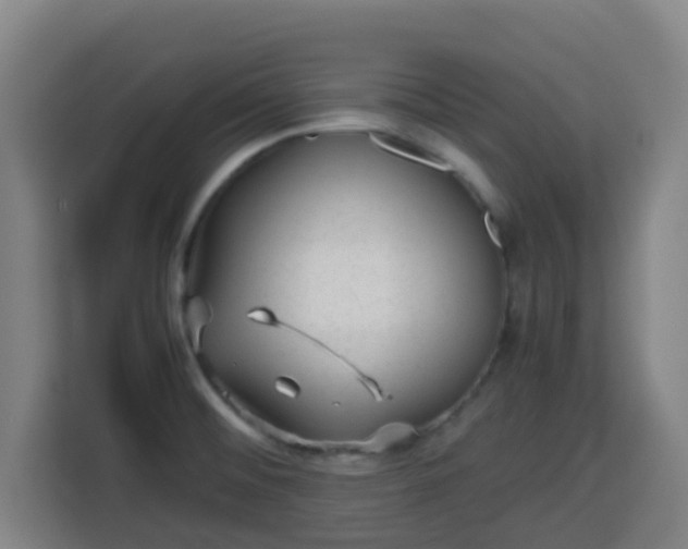 X0000113761476200909301059