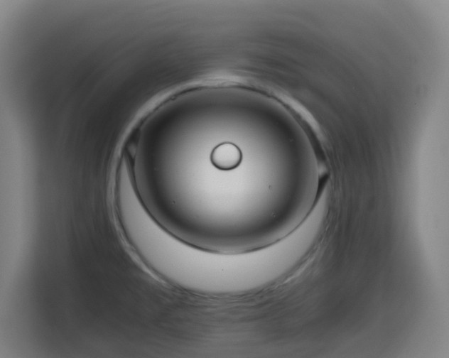X0000113761477200909301059