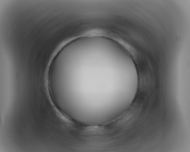 X0000113761478200909301059