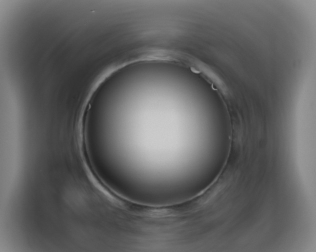 X0000113761479200909301059