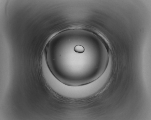X0000113761481200909301059