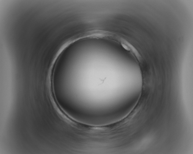 X0000113761483200909301059