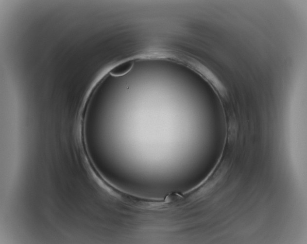 X0000113761484200909301059