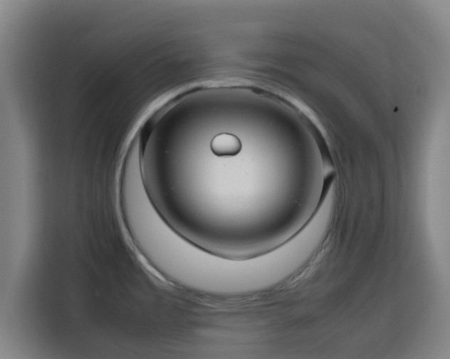 X0000113761485200909301059