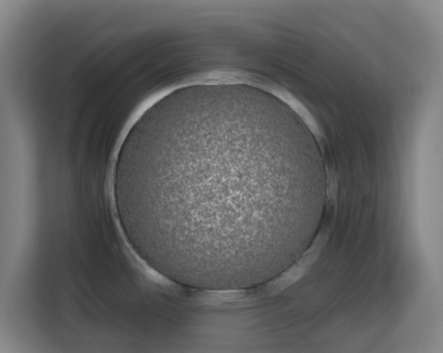 X0000113761486200909301059