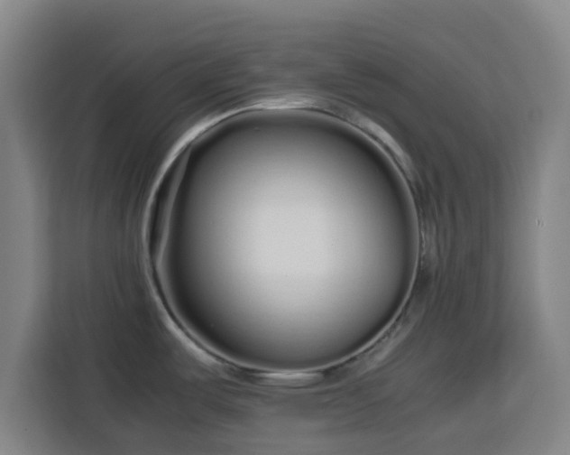 X0000113761487200909301059