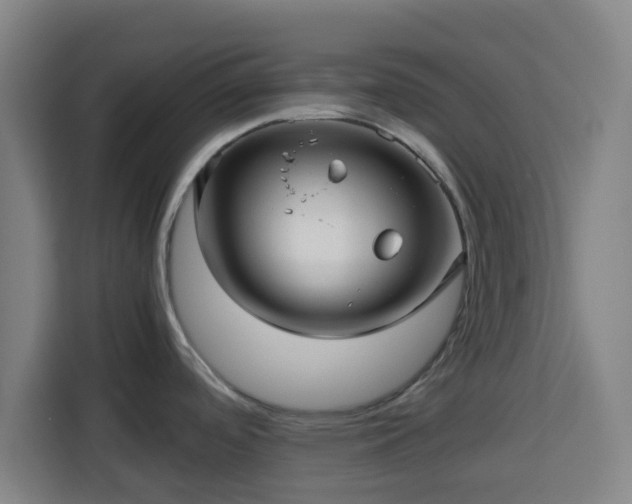 X0000113761488200909301059