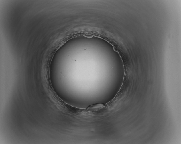 X0000113761489200909301058