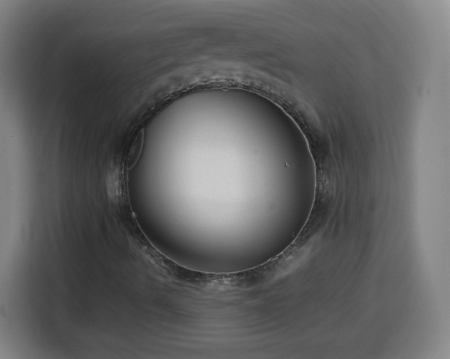 X0000113761490200909301058