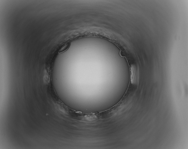 X0000113761491200909301058