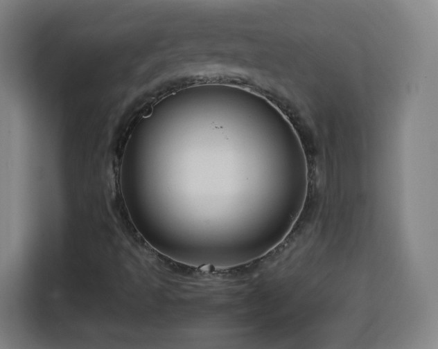 X0000113761493200909301059
