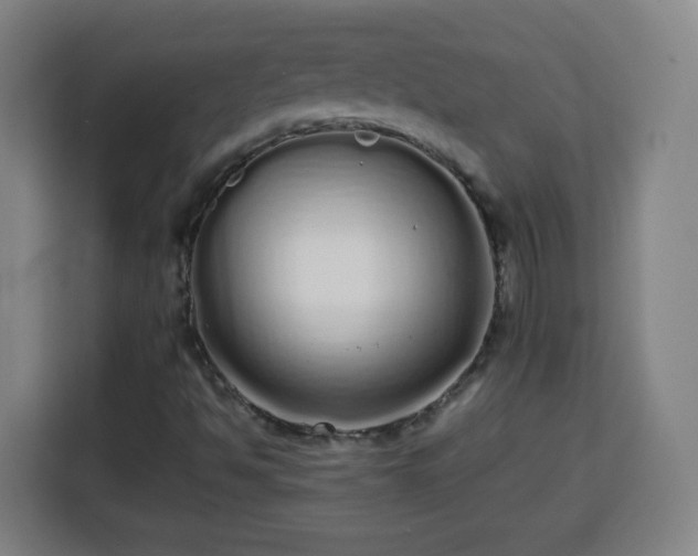 X0000113761494200909301059