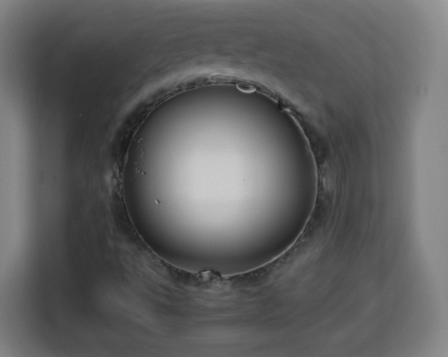 X0000113761495200909301059