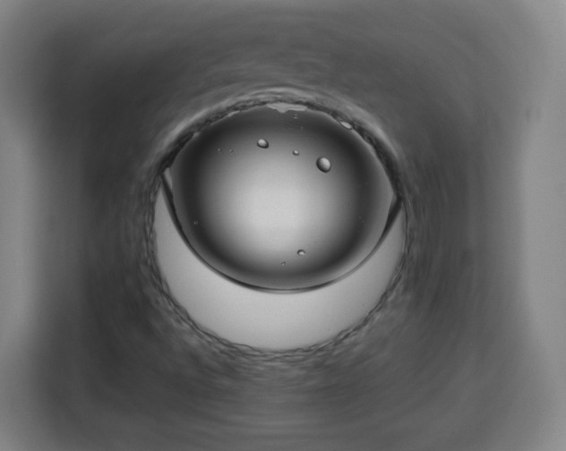X0000113761496200909301059