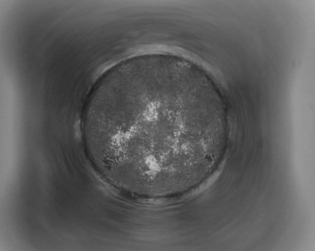 X0000113761497200909301059
