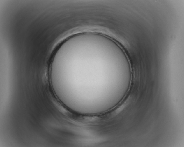 X0000113761498200909301059
