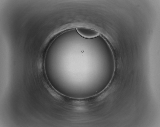 X0000113761499200909301059