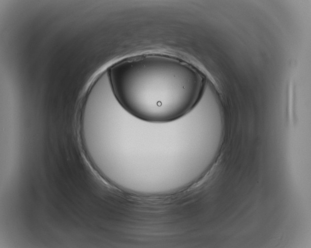 X0000113761500200909301059