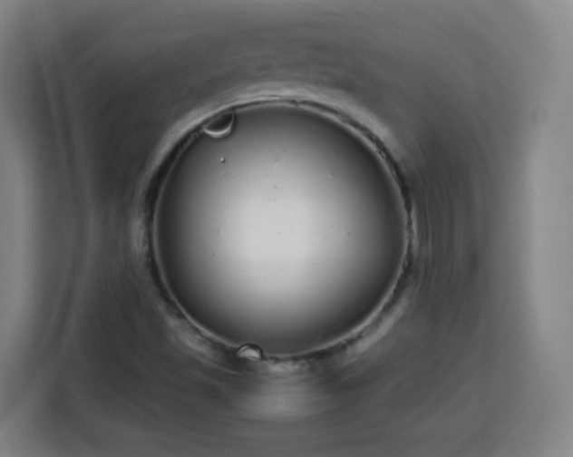 X0000113761501200909301059