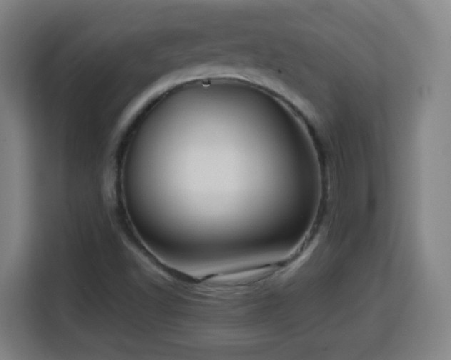 X0000113761502200909301059