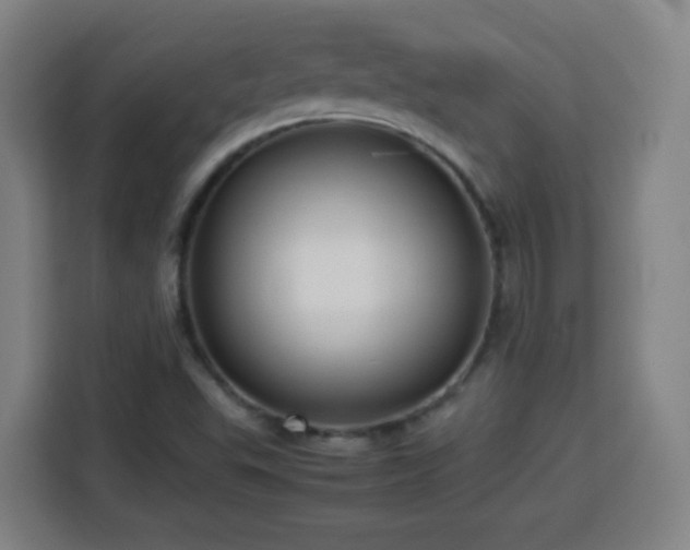X0000113761503200909301059