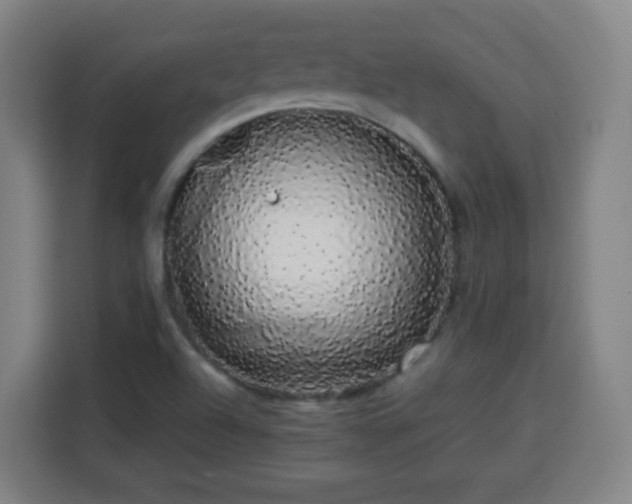 X0000113761504200909301059