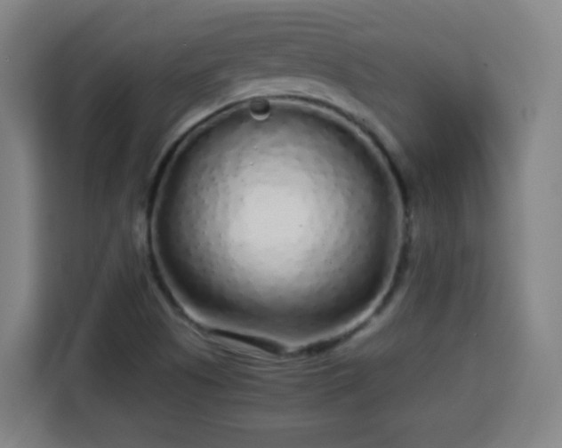 X0000113761505200909301059