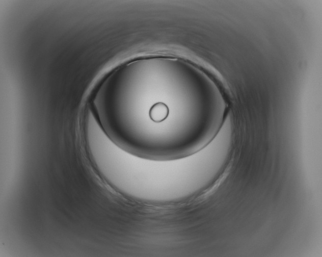 X0000113761506200909301059